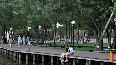 Синоптики рассказали о погоде на короткой рабочей неделе в Воронеже