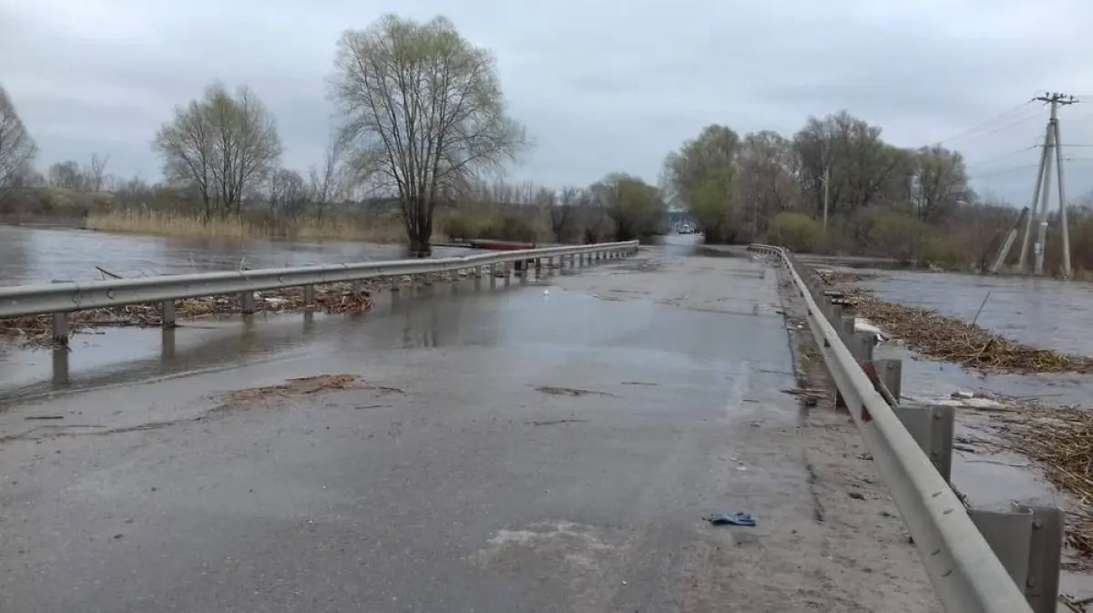 Паводок ступино воронеж