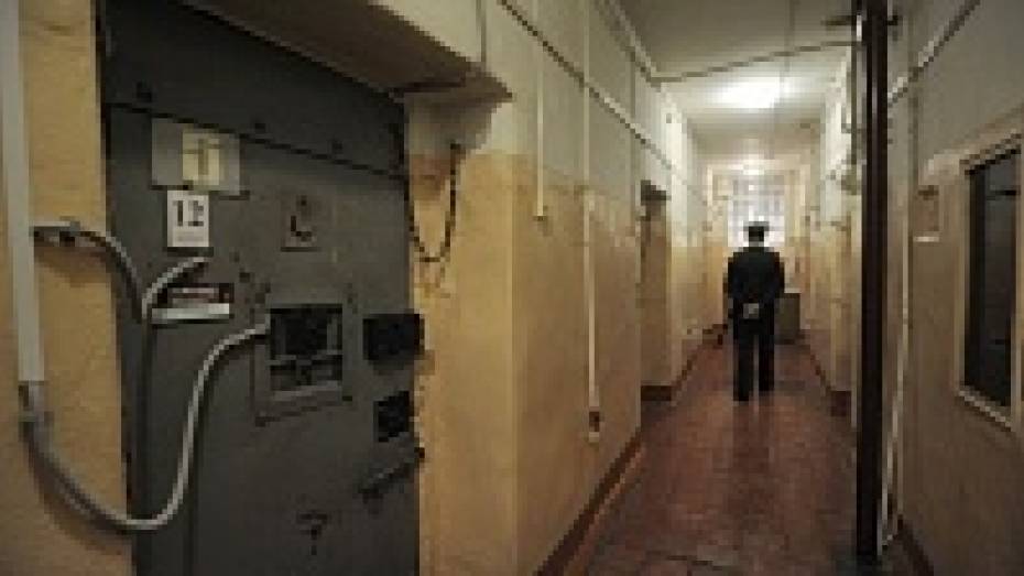 В Воронежской области от наказаний освободили 118 человек в связи с амнистией 