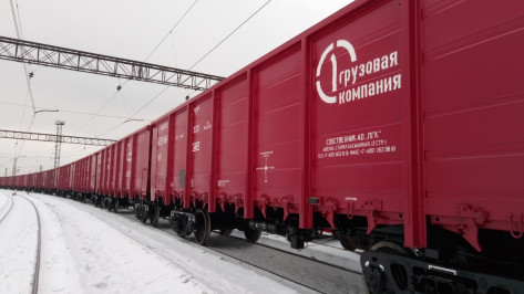 Директор Воронежского филиала ПГК предложил грузоотправителям «объединить усилия»