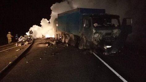 КамАЗ и ВАЗ-2115 вспыхнули после смертельного ДТП в Воронежской области