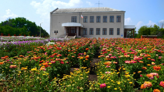 Клумба из 20 тыс цветов стала достопримечательностью семилукского села
