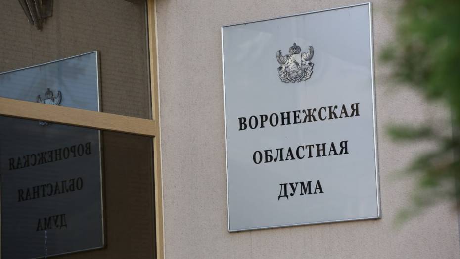 Председатель Воронежской облдумы: «Более 700 обращений по соцвопросам получено на неделе приемов граждан»