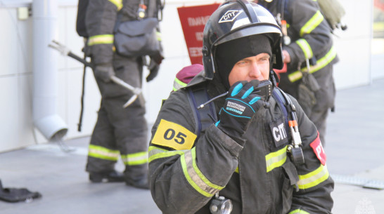 Пожарные эвакуировали 840 человек из Дворца спорта в Воронеже