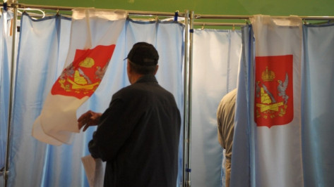 Проголосовать на выборах по месту пребывания пожелали 5 тыс жителей Воронежской области