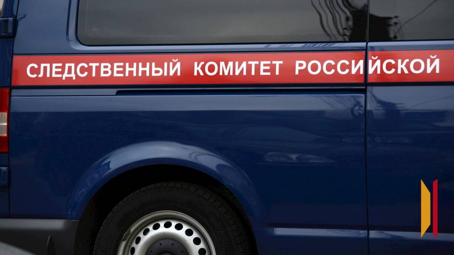 Возбуждено уголовное дело после гибели 8-летнего мальчика на пожаре в Воронеже