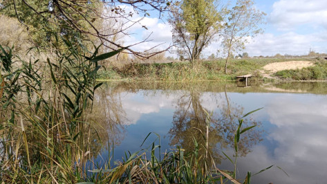 В Воронежской области стартовал поиск подрядчика для расчистки русла реки Осередь
