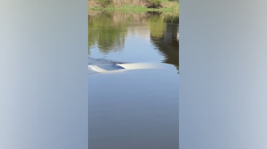 Под Воронежем 33-летняя женщина утопила автомобиль в реке Дон