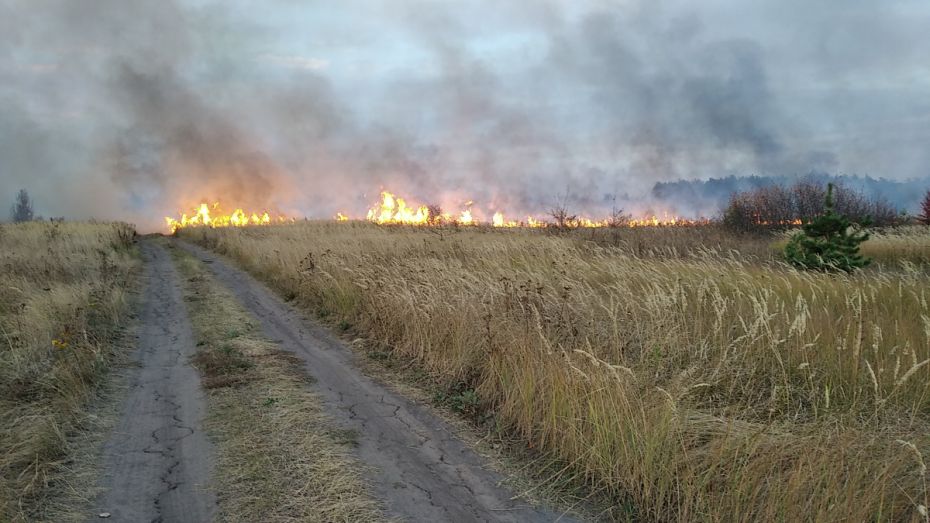 Пожарные спасли 4 населенных пункта в Воронежской области