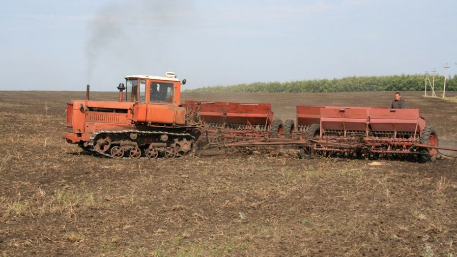В хозяйствах Калачеевского района начались полевые работы