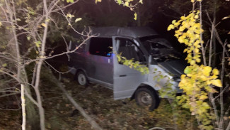 В Воронежской области «Газель» врезалась в дерево: водитель погиб