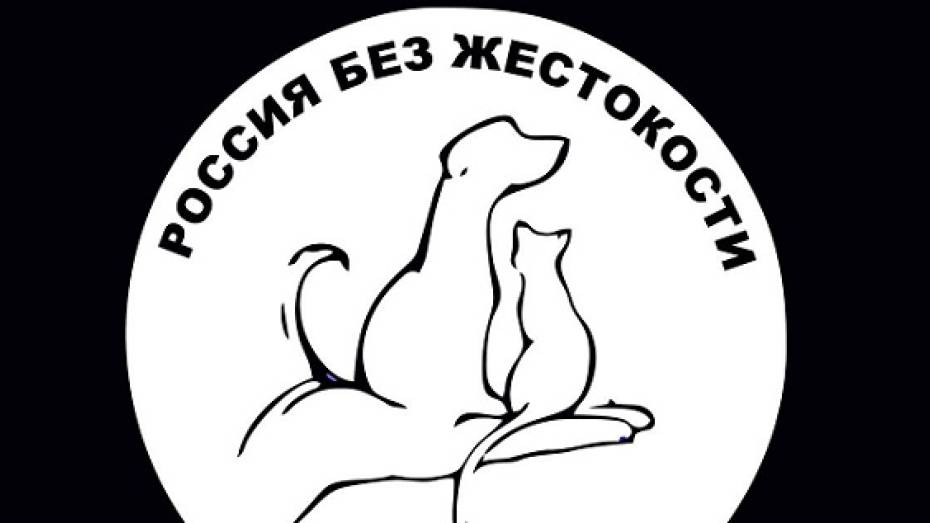 Воронеж примет участие во всероссийской акции в защиту животных
