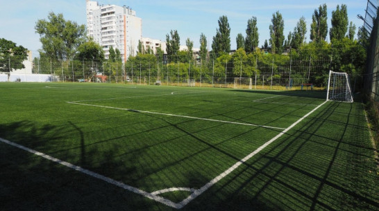 К началу учебного года-19/20 в Воронеже построят 2 зала борьбы и спорткомплекс