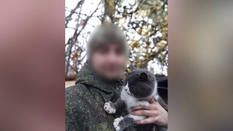 «Видно плохо ему было в лесу одному». Воронежский участник СВО рассказал, как на передовой к нему прибился кот