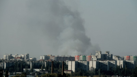 Воронежские спасатели ликвидировали ландшафтный пожар в Подгорном