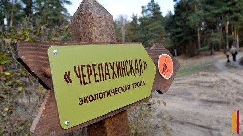 Стало известно, как будет работать Воронежский заповедник на длинных выходных