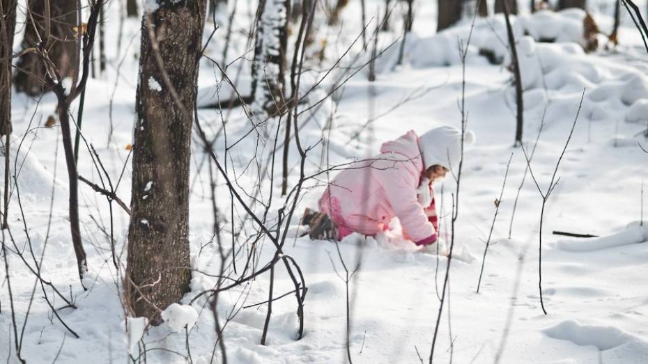 Первые зимние выходные в Воронеже будут снежными