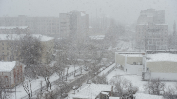 В Воронежскую область вернутся снегопад и гололедица