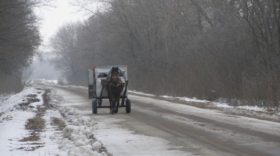 Нижнедевицкий почтальон развозит почту в самодельной кибитке