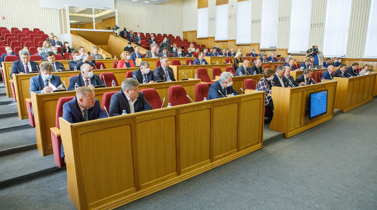 Депутаты Воронежской областной Думы приняли блок социальных законов