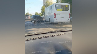 Воронежцы сообщили о ДТП с автобусом №51 у Острогожского кольца