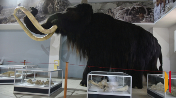 Воронежский музей-заповедник «Костенки» продлил туристический сезон