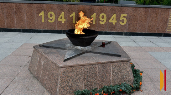 Осквернителя братской могилы возле памятника Славы в Воронеже отправили в СИЗО