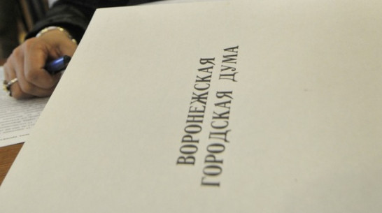 Воронежская гордума утвердила новый порядок расчета налогов на имущество физлиц