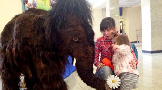 Мамонтенок Тимка собрал для воронежских сирот 10 тыс рублей