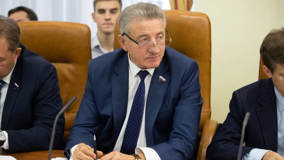 Воронежский сенатор Сергей Лукин принял участие в формировании задач Совфеда на 2020 год
