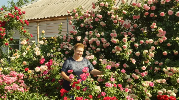 Жительница села Хохол вырастила розарий на месте свалки
