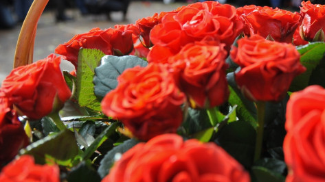Воронежец украл 31 алую розу для жены на годовщину свадьбы