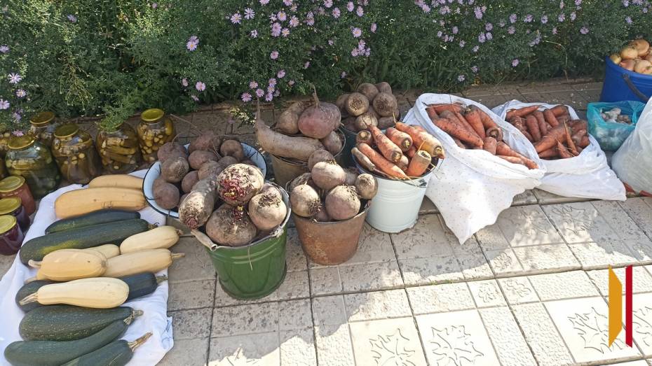 Жительница Панинского района передала более 80 кг овощей со своего огорода бойцам СВО