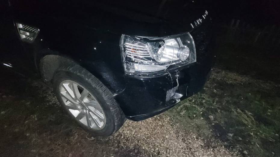 В Воронежской области 39-летний пешеход погиб под колесами Land Rover