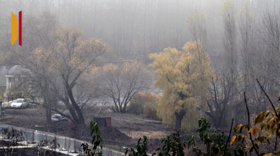 В Воронежской области продлили желтый уровень погодной опасности по туману