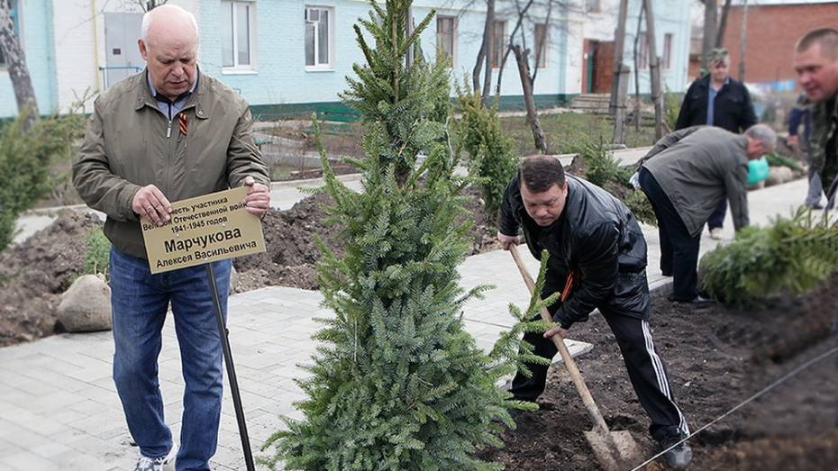 Под Воронежем появились аллеи в честь ветеранов 