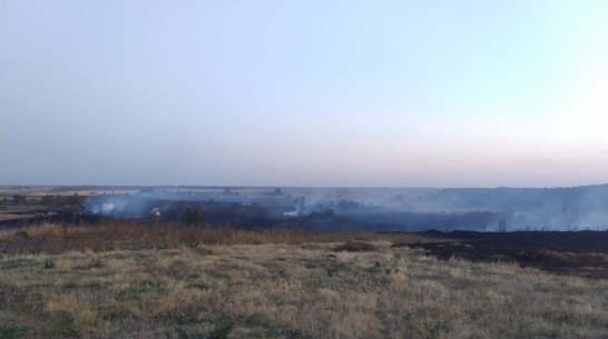 Пожар в селе под Воронежем уничтожил жилой дом