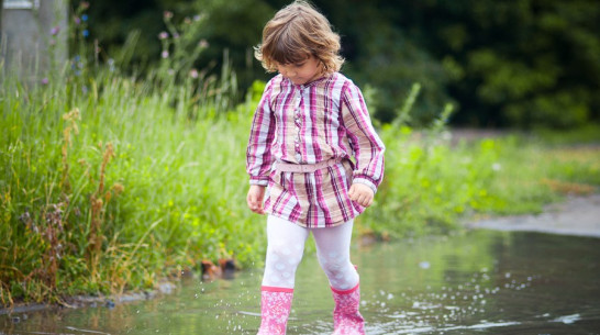 Воронежская область поменялась погодой с Сибирью