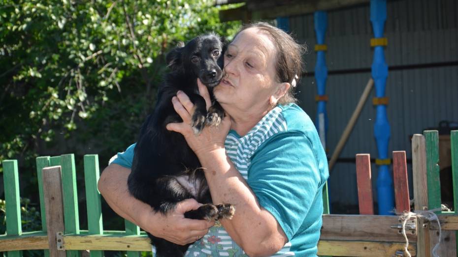 Жительница Поворинского района попросила помочь бездомным животным
