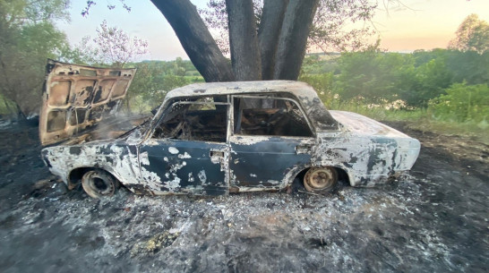 В Верхнемамонском районе на берегу реки Дон сгорел автомобиль «Жигули»