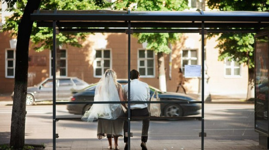 На Красную горку в Воронежской области поженятся 546 пар