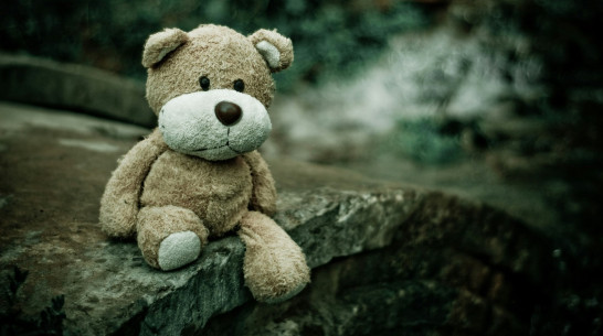 Жительница Воронежской области пойдет под суд за издевательства над своими детьми