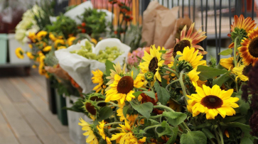 Воронежцам показали полную программу фестиваля «Город-сад»