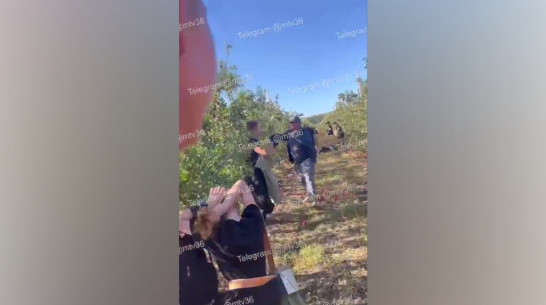 В Воронежской области работник питомника набросился с палкой на студентов: видео