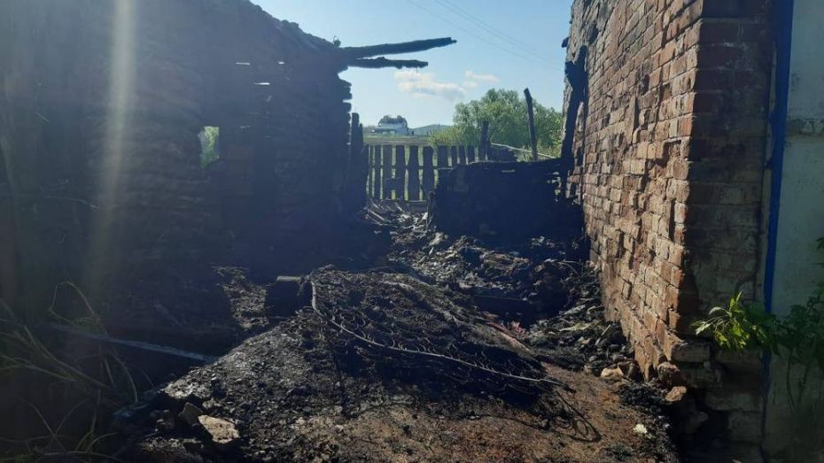 В рамонском селе Лебяжье при пожаре погибла 84-летняя женщина