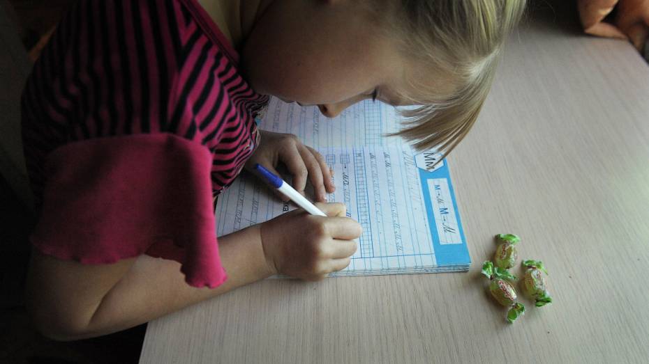 В школах Воронежа во время дистанционного обучения будет работать продленка