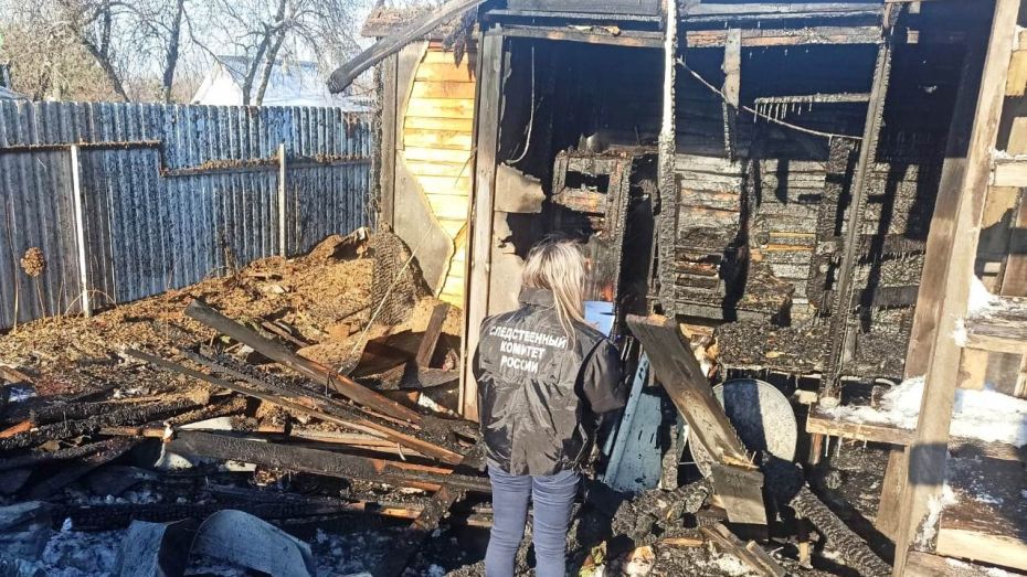 Гибель 2-летнего малыша в пожаре под Воронежем привела к уголовному делу