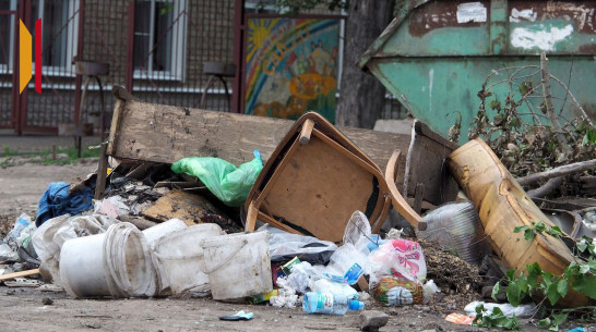 В Воронежской области за 12,8 млн рублей проанализируют количество отходов на мусорках