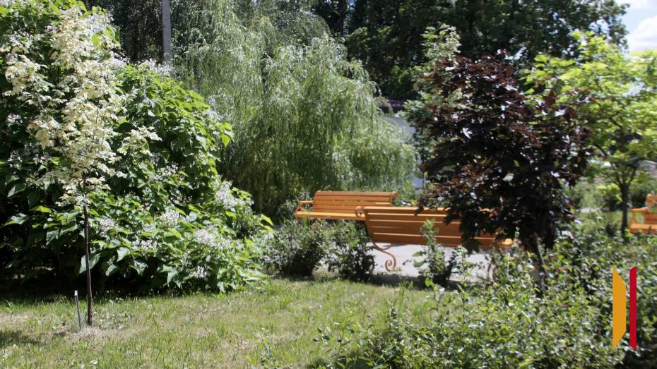 В Воронеже появятся еще 10 зеленых зон