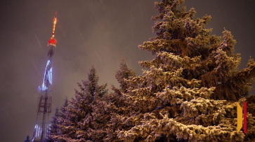 Воронежская телебашня включит праздничную подсветку 22 и 23 февраля